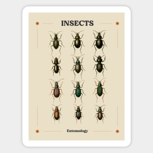 Insects II Magnet